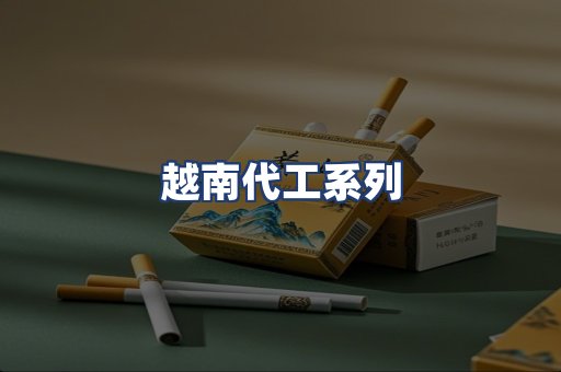 越南代工系列